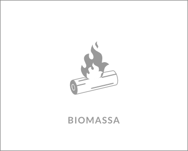 biomassa